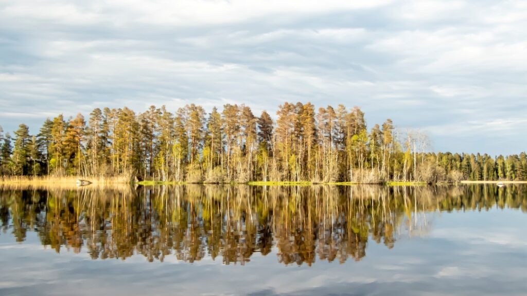 Koskeljärvi, erämaan rauhaa etsivän retkimelojan paratiisi. Saari heijastuu veden pintaan Koskeljärvellä