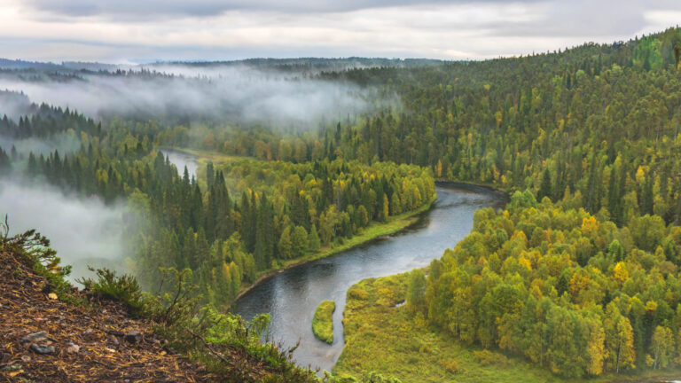 Kokemukseni Kuusamo-opiston Luontokuvaajan ammatilliset taidot -koulutuksesta